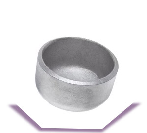 2.4819 Hastelloy Large Diameter Cap