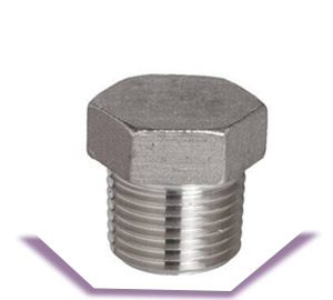2205 Duplex Plug