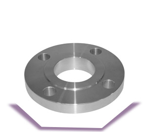 310 SS Slip On Flanges