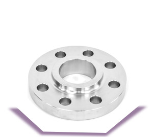 317l SS Slip On Flanges