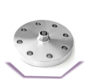 904L Stainless Steel Reducing Flanges