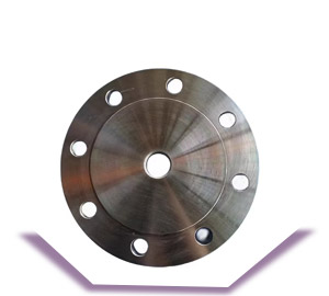 A694 F65 Blind Flange