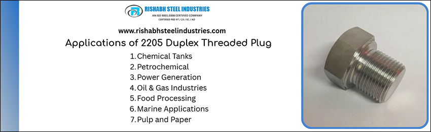 Applications of 2205 Duplex Threaded Plug