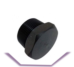 ASME SA350 LF2 Plug