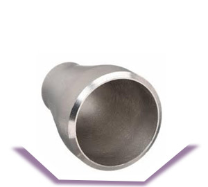 ASME SA815 WP-S UNS S32750 Reducer