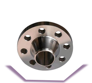 ASTM A182 S32205 Weld Neck Flange