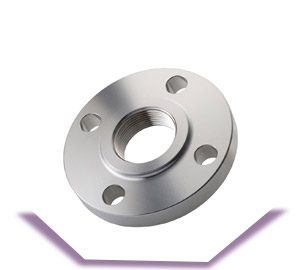  ASTM A182 UNS S31803 Slip On Flange