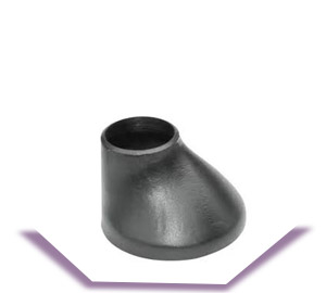 ASTM A234 WP1 Reducer
