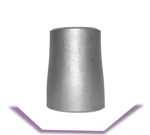  ASTM A403 WP321 Reducer