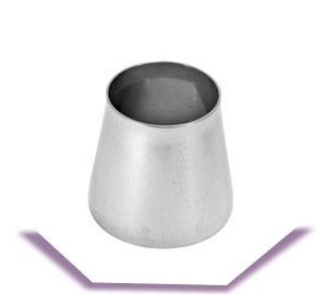  ASTM A403 WP446 Reducer