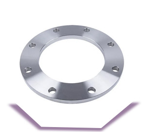 ASTM B462 UNS N08020 Plate Flanges