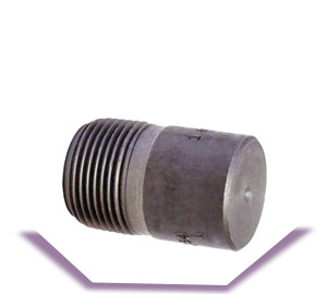 Carbon Socket Weld Round Head Plug