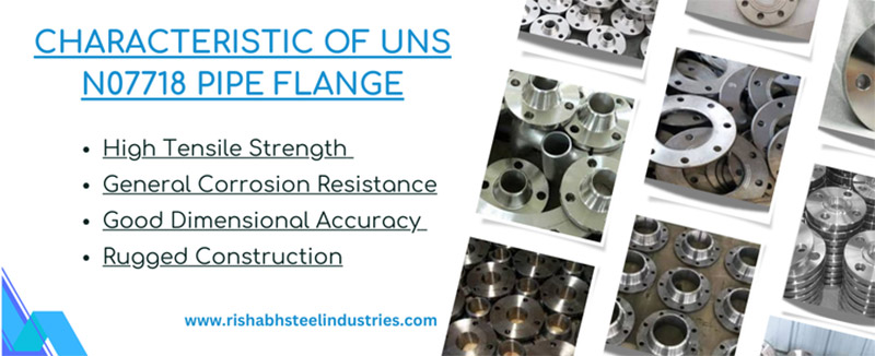 Characteristic of UNS N07718 Pipe Flange