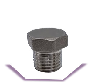 CS Socket Weld Hex Plug