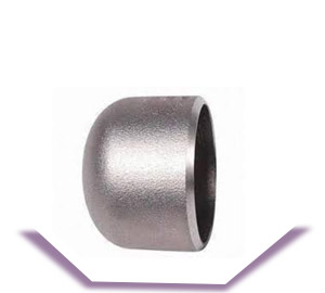 DIN 1.4762 End Cap