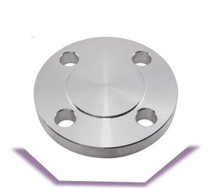 DIN 2.4858 Blind Flange