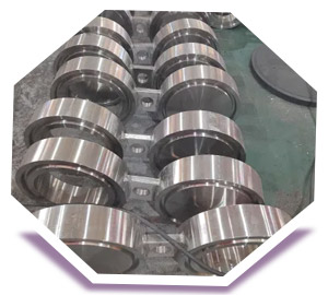 Duplex 2205 Spectacle Blind Flanges