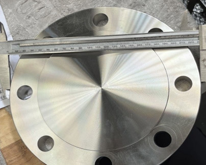 Duplex Blind Flange