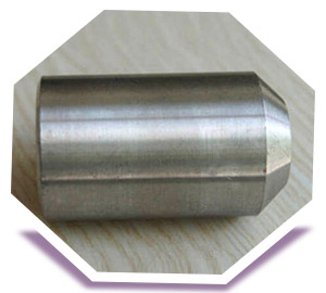Forged Stainless Steel Boss