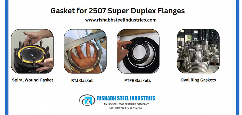 Gasket for 2507 Super Duplex Flanges