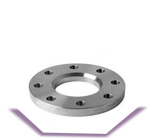 Hastelloy Plate Flanges