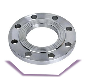 Nickel Alloy 718 Plate Flanges