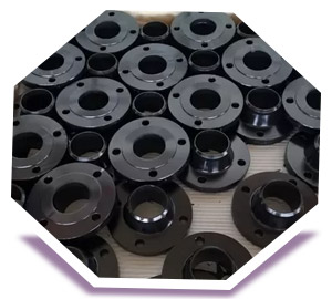 SA 105 Steel Flat Face Weld Neck Flange