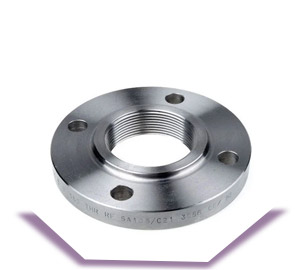 SA 182 Gr F321 Threaded Flanges