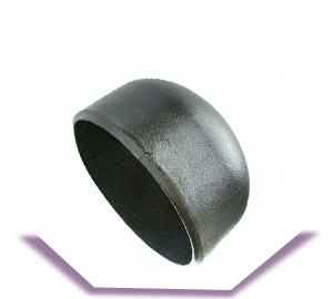 SA 234 WP22 CL 2 end cap