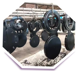 Spectacle Blind Flanges