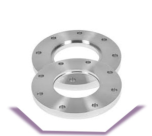 SS 310 Plate Flanges