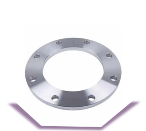 SS 316L Plate Flanges