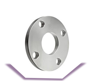 SS 317l Plate Flanges