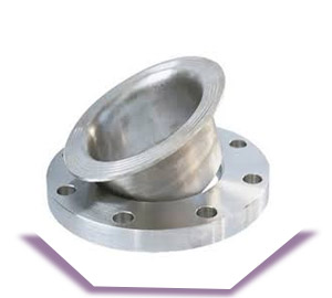  SS 317L Stub End