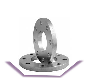 SS 321 Plate Flanges