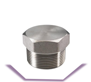 SS Socket Weld Hex Plug