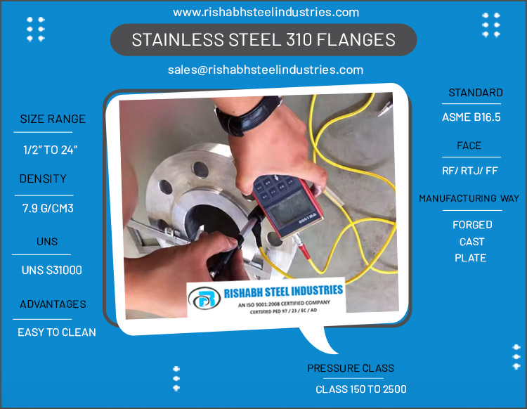 Stainless Steel 310 Flanges