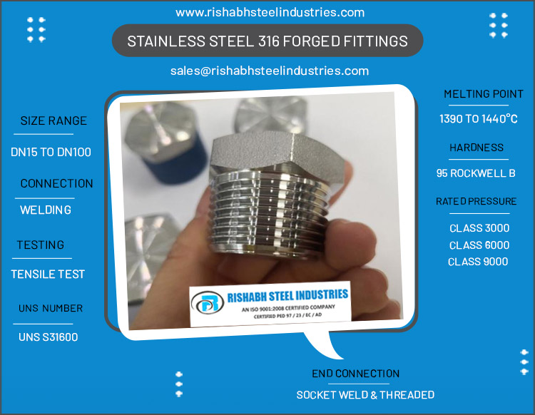 Stainless Steel 316 Forged Fittings