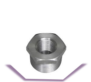Stainless Steel NPT Reducer Bushings