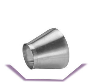 Stainless Steel Pharma Reducer