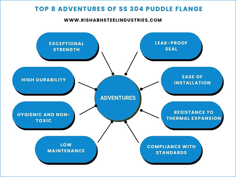 Top 8 Adventures of SS 304 Puddle Flange