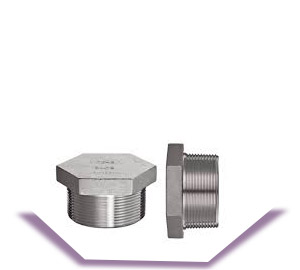 UNS A96061-T6 Plug