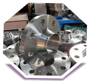 10 WNRF Flange Weight