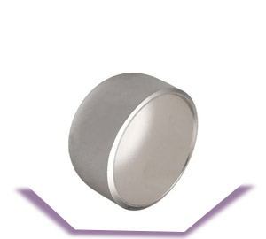 WPS S32205 End Cap